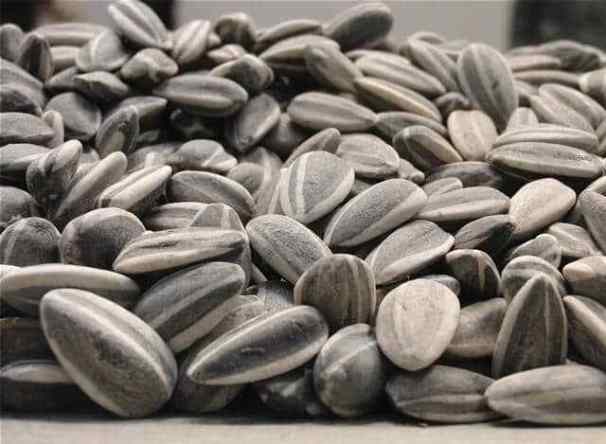 Sunflower Seeds